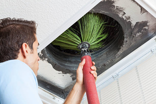 Air Duct Mold Removal in Discovery Bay, CA